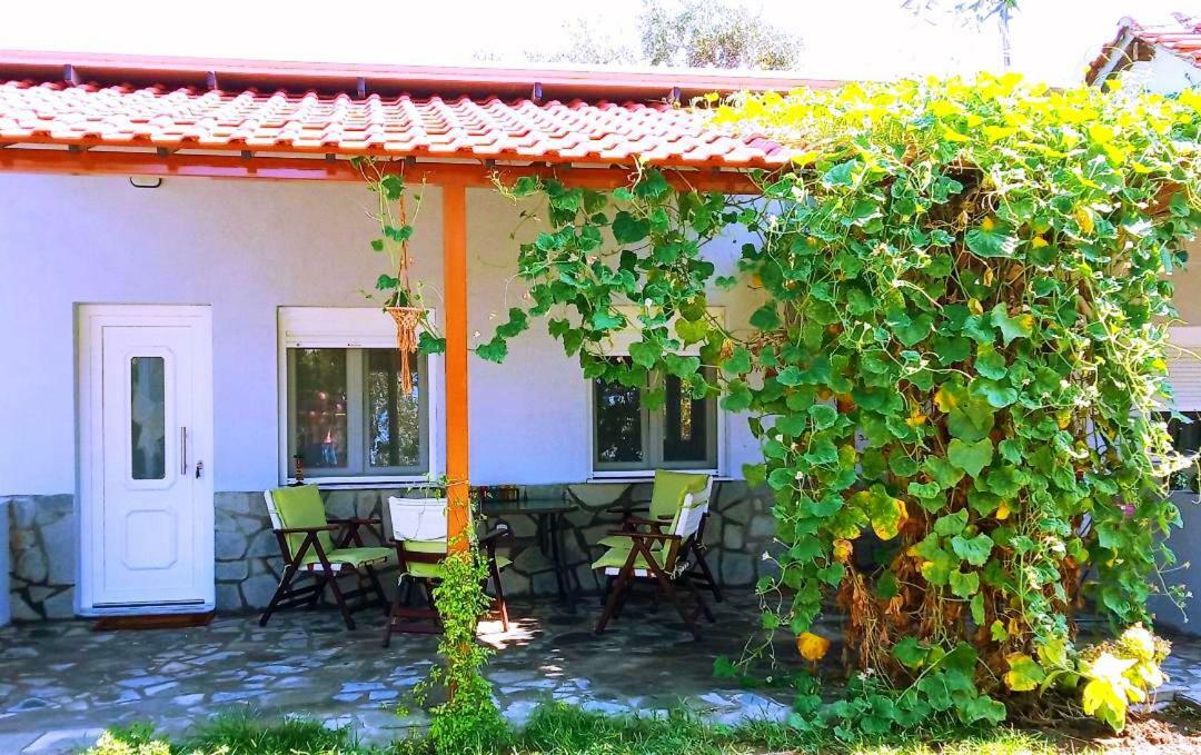 Cristi Apartments Skala Rachoni  Zewnętrze zdjęcie